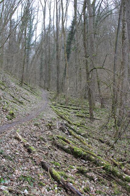 und weiter | Foto: Ralf Röser