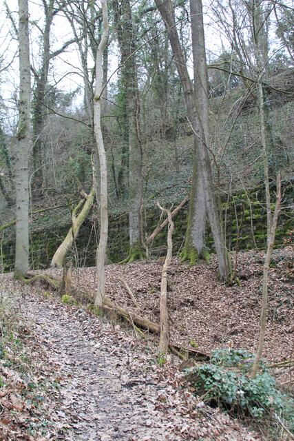 fast oben | Foto: Ralf Röser