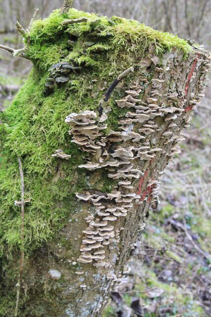 😍 | Foto: Ralf Röser