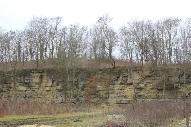 alter Steinbruch | Foto: Ralf Röser