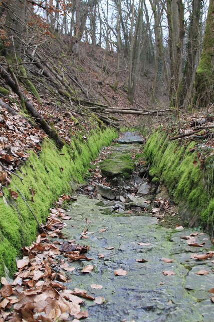 altes Bachbett | Foto: Ralf Röser