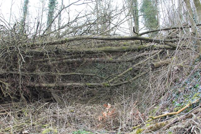 brutal | Foto: Ralf Röser