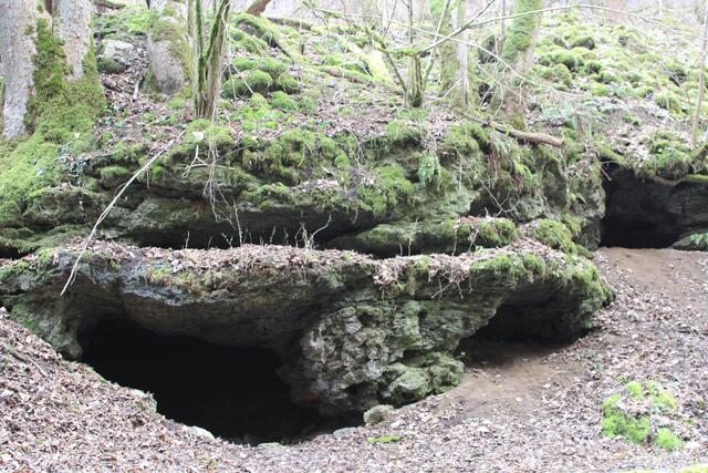 ist das cool | Foto: Ralf Röser