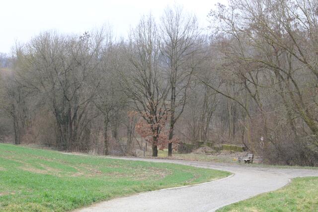 alter Steinbruch kurz vor der Ohrenklinge | Foto: Ralf Röser