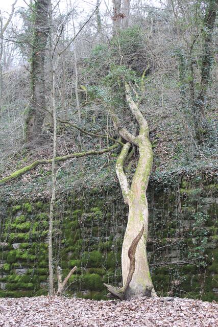 der liegt schon ne Weile | Foto: Ralf Röser