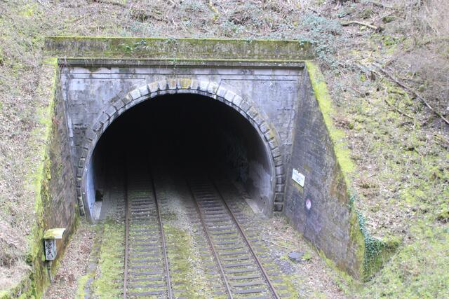Tunnel in der Ohrenklinge- gleich kommt ein Zug | Foto: Ralf Röser