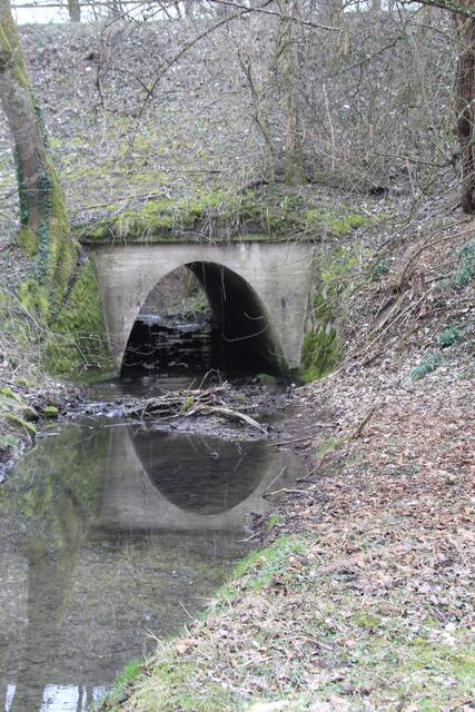 coole Spiegelung | Foto: Ralf Röser