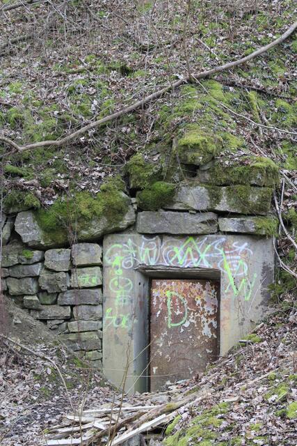 oben an der Ohrenklinge | Foto: Ralf Röser