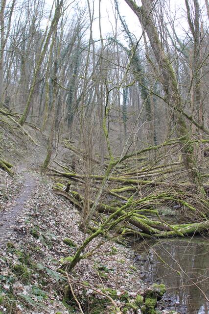 da rauf | Foto: Ralf Röser