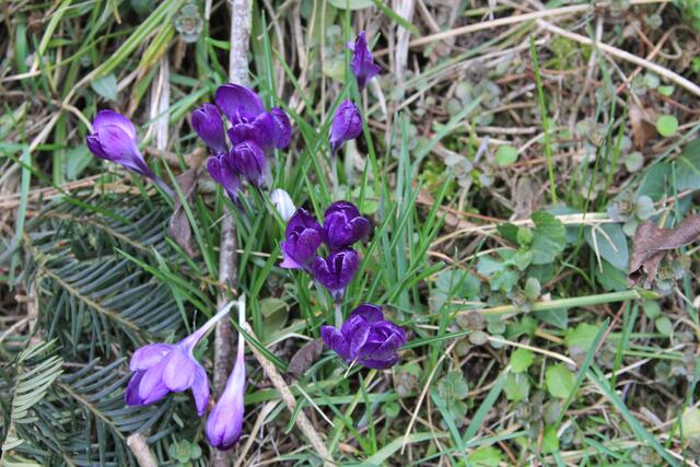 schönes am Wegesrand | Foto: Ralf Röser