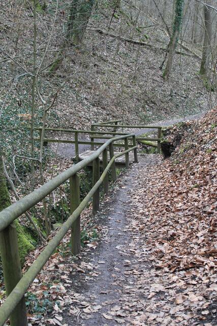 und weiter | Foto: Ralf Röser