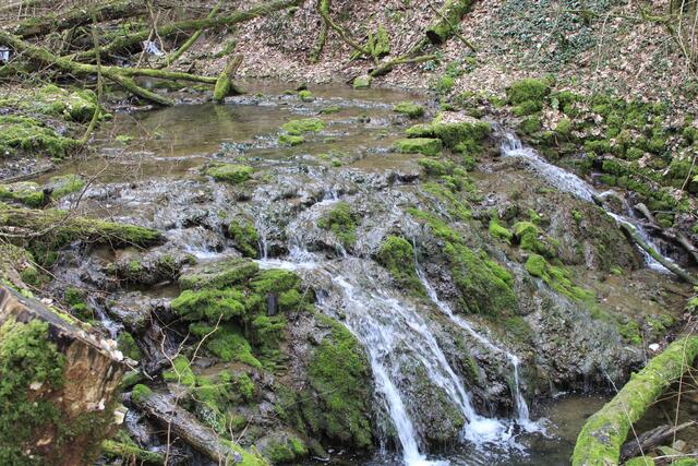 Schleifbach | Foto: Ralf Röser