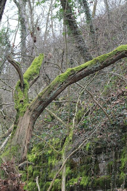 cool | Foto: Ralf Röser