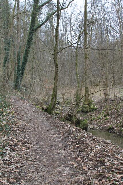 und rein in die Schleifbachklinge | Foto: Ralf Röser