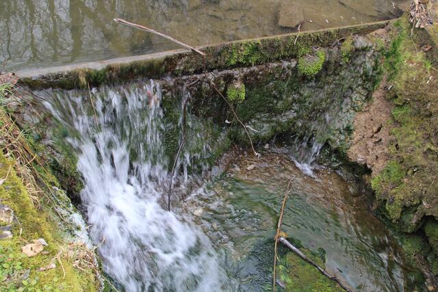 einfach schön | Foto: Ralf Röser