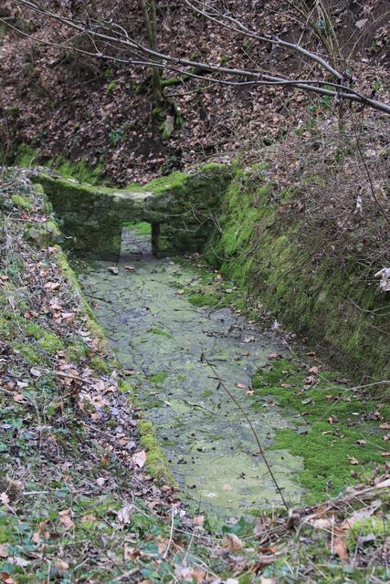 und runter in die Ohrenklinge | Foto: Ralf Röser