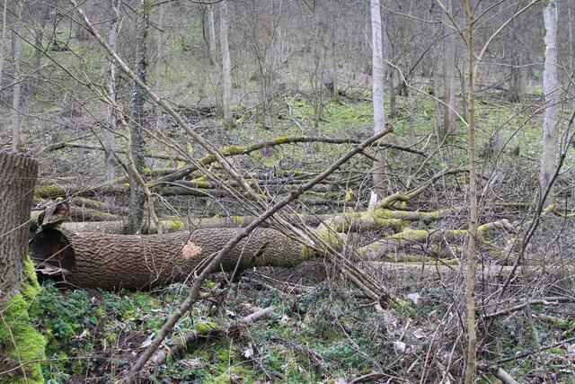 und weiter | Foto: Ralf Röser