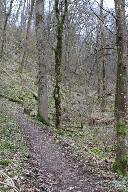 da lang | Foto: Ralf Röser