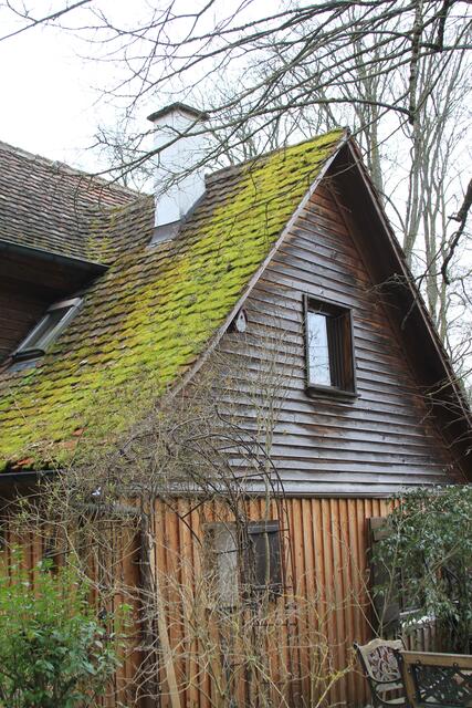 schön anzuschauen | Foto: Ralf Röser