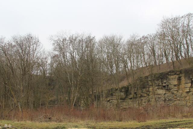 alter Steinbruch | Foto: Ralf Röser