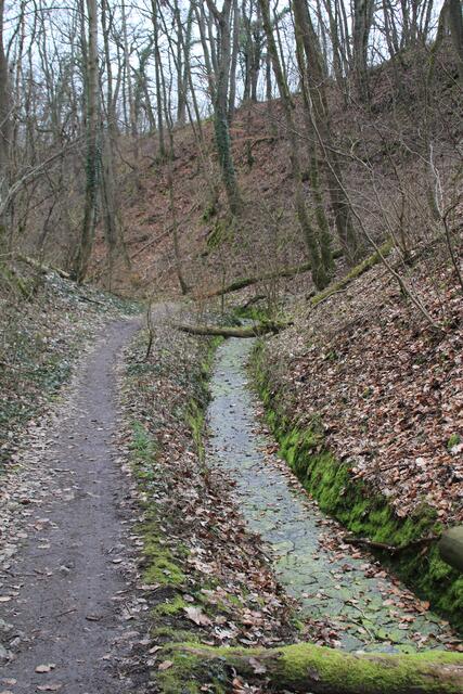 herrlich | Foto: Ralf Röser