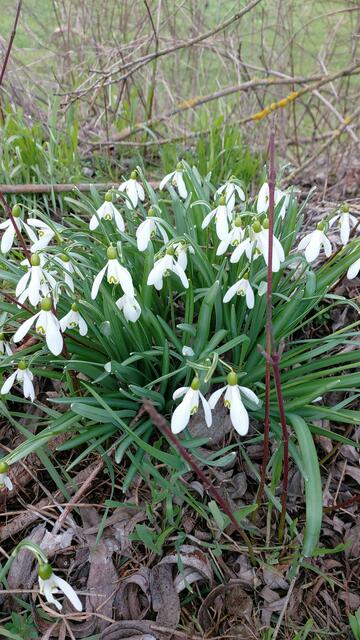 schönes am Wegesrand🌞😍