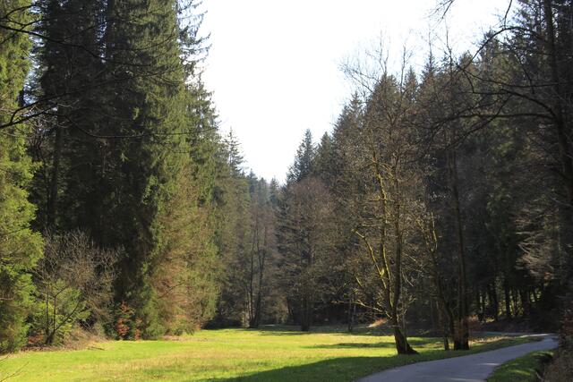 das Licht ist herrlich