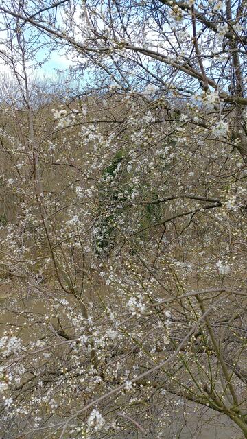 schönes am Wegesrand🌞😍