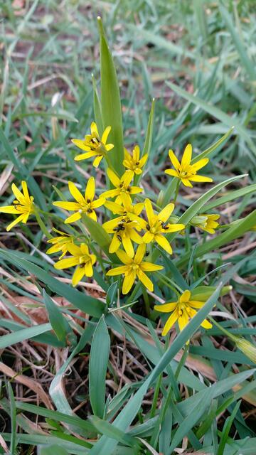 schönes am Wegesrand🌞😍