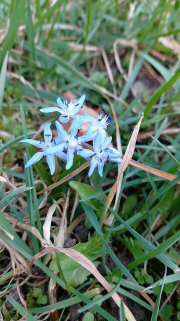 schönes am Wegesrand🌞😍