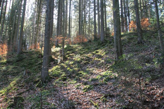 schönes Licht
