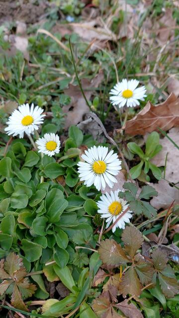 schönes am Wegesrand🌞😍
