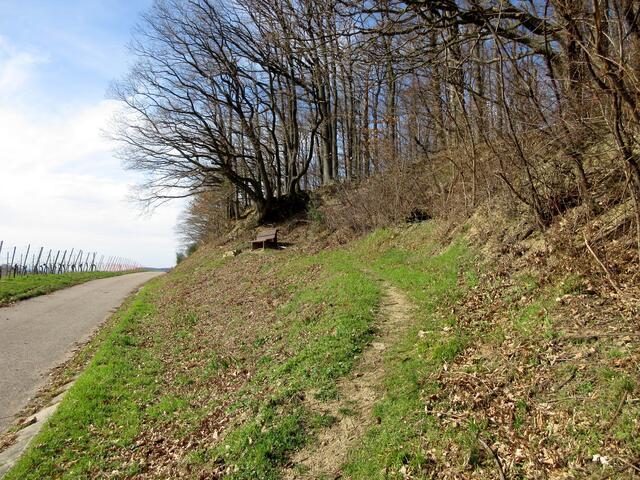 Ein schöner Aussichtplatz beim Brauchert, die Bank hat der Willsbacher Schwäbische Albverein aufgestellt. Die Hänge mit den seltenen Pflanzen, werden aber vom NABU gepflegt.