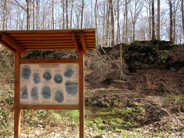 An diesem Biotop vorbei. Doch die Gruppe musste zurück, da sie am Brauchert geparkt hatten.