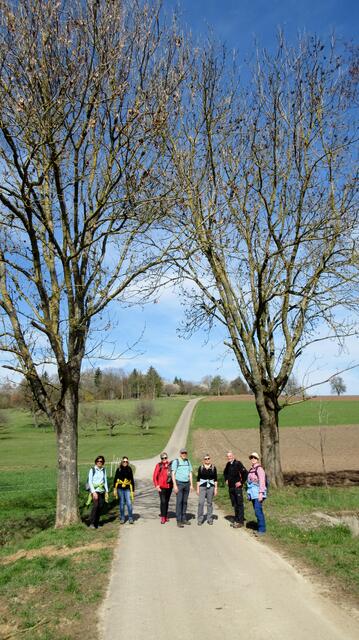 Nach dem gruseligen Wald tut die Weite und die Sonne doppelt gut.