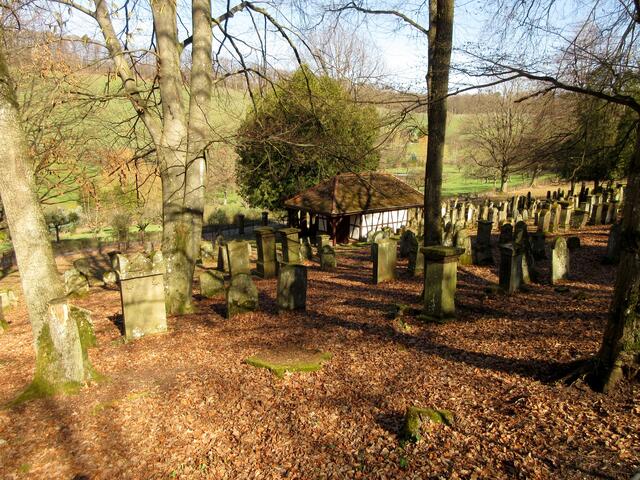 Bevor sie die Rehe am Salzberg trafen, kamen sie von Affaltrach her um den Zeilhof und am Jüdischen Friedhof entlang.
