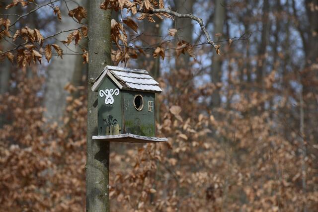 Wer wohnt denn da ? | Foto: Michael Harmsen