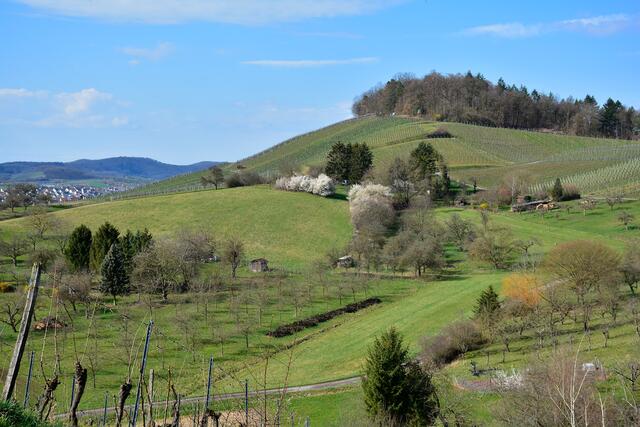 Schön unsere Heimat, und die Sonne hat es sich überlegt. | Foto: Michael Harmsen
