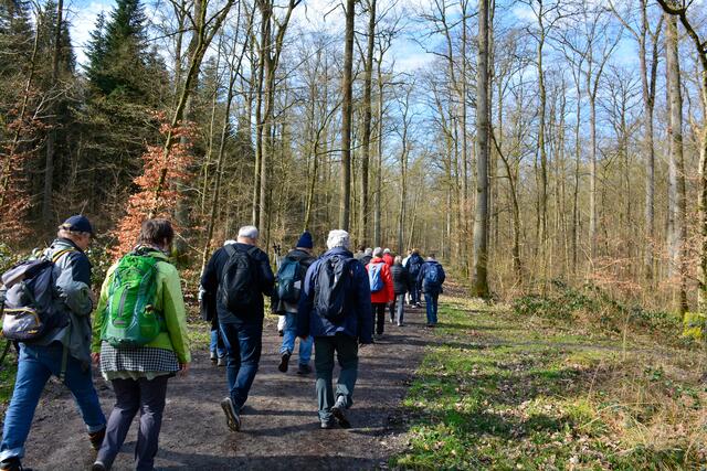 Im Sperbelhau auf dem Weg zur Bismarkruhe | Foto: Michael Harmsen