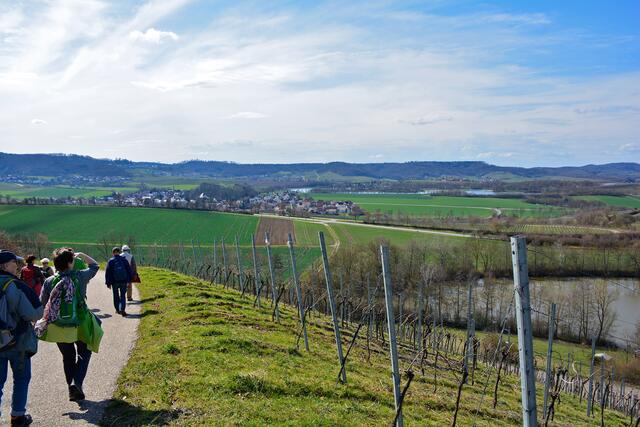 Aussichten so weit das Auge reicht | Foto: Michael Harmsen
