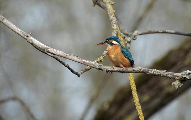 Foto: Daniela Somers
