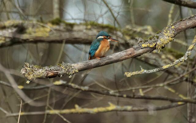Foto: Daniela Somers