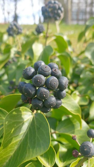 🌞😍🌞 Frühling 🌞😍🌞