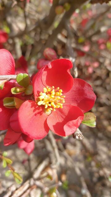 🌞😍🌞 Frühling 🌞😍🌞