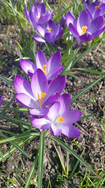 🌞😍🌞 Frühling 🌞😍🌞