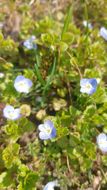 🌞😍🌞 Frühling 🌞😍🌞