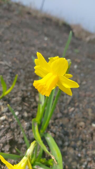 🌞😍🌞 Frühling 🌞😍🌞