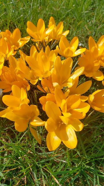 🌞😍🌞 Frühling 🌞😍🌞