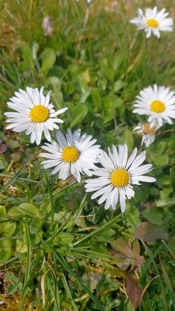🌞😍🌞 Frühling 🌞😍🌞