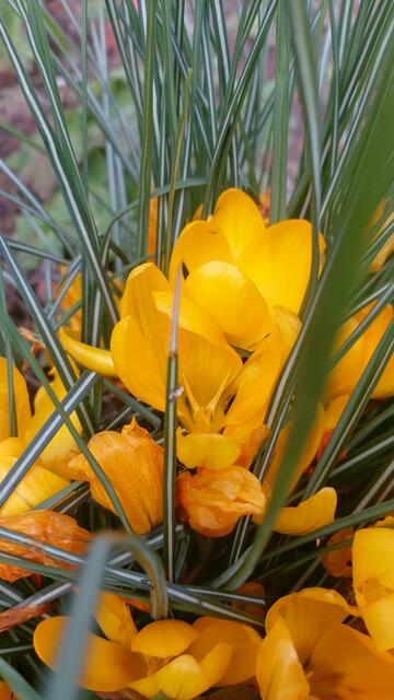 🌞😍🌞 Frühling 🌞😍🌞